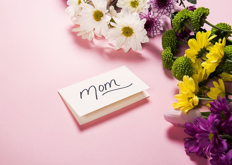 50+ Những Câu Nói Hay Về Mẹ Sâu Sắc Và Cảm Động Nhất