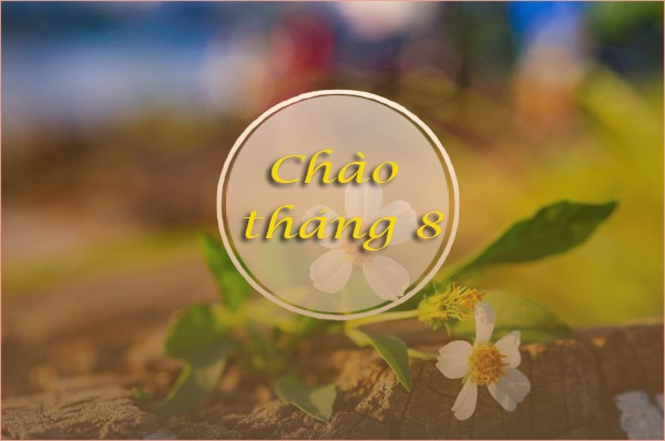 Chào t8 