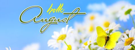 Hello August - Best wishes 