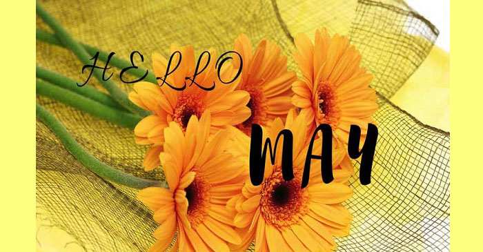 hello May 