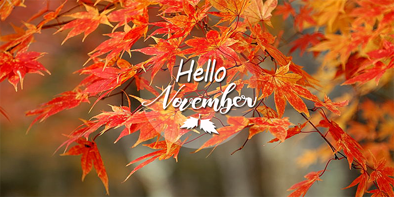 Hello November 