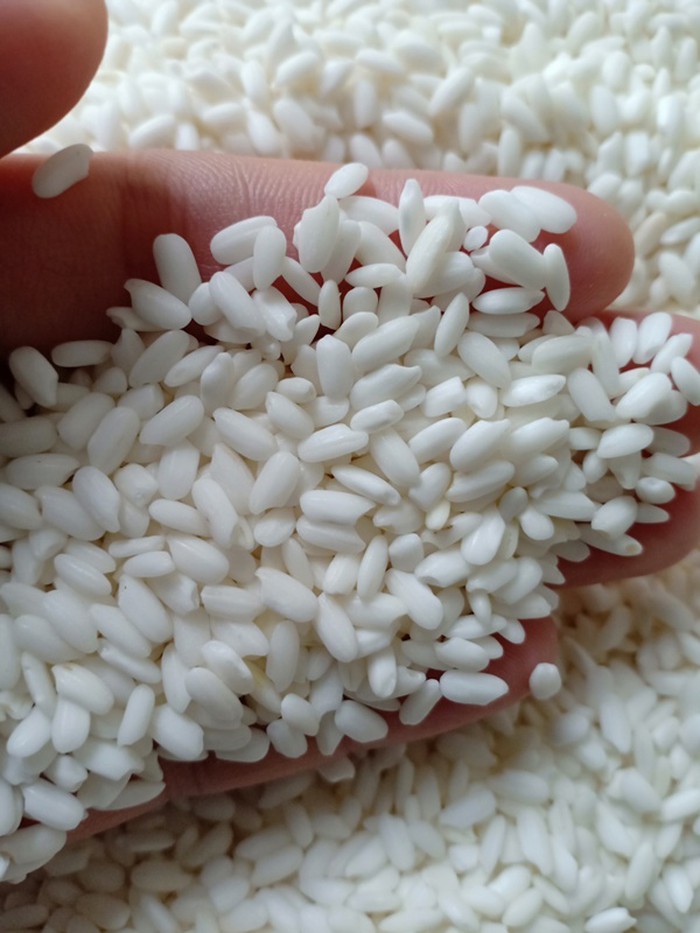 Nhấn để xem ảnh chất lượng hơn Chọn gạo nếp gói bánh Chưng