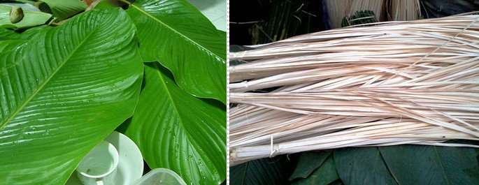 Nhấn để xem ảnh chất lượng hơn Chọn lạt, lá dong gói bánh Chưng