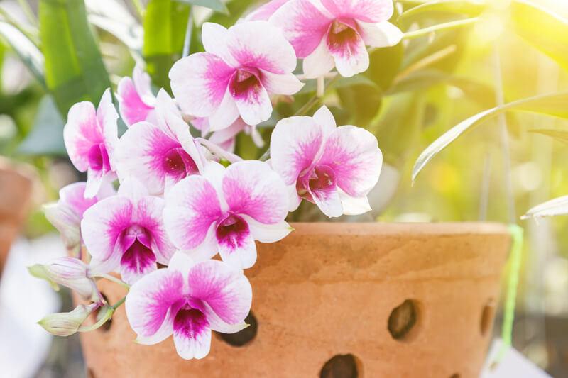 Nhấn để xem ảnh chất lượng hơn Hành phúc là một hành trình