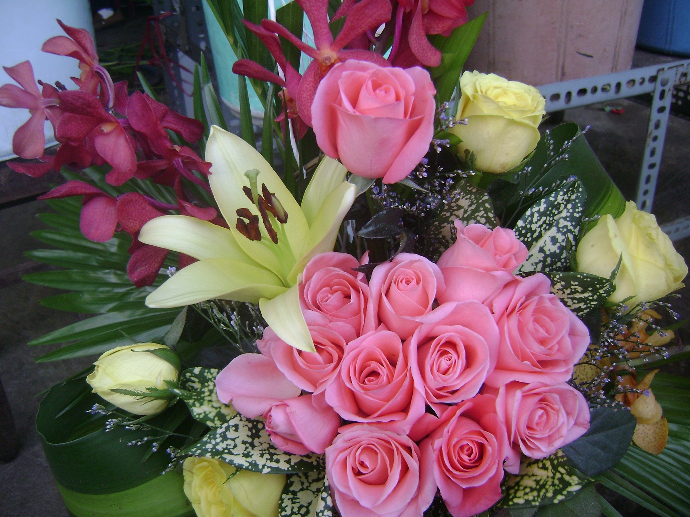 Phụ nữ như những đóa hoa 