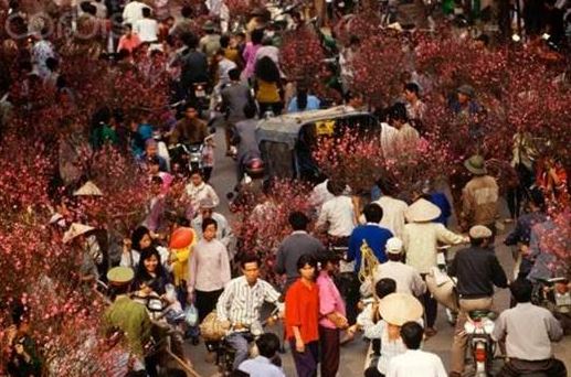 Nhấn để xem ảnh chất lượng hơn Ảnh 14