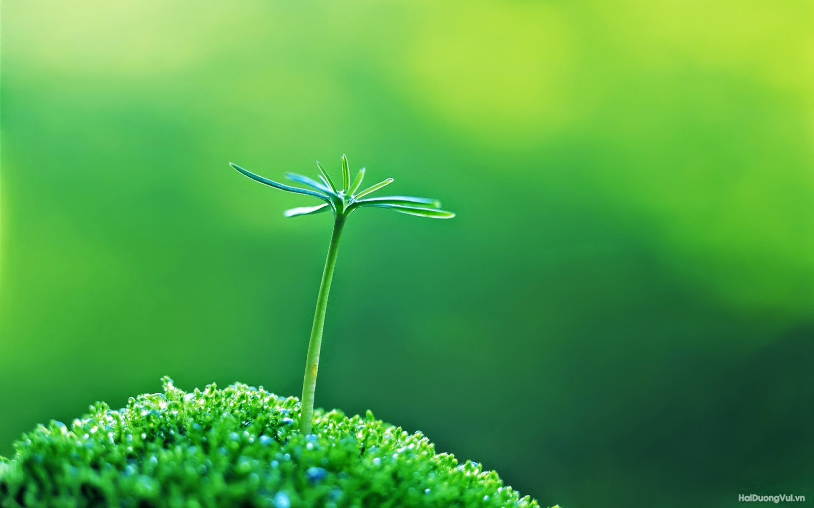 Năm thế giới số 1 - Thời điểm khởi đầu để xây dựng các mối quan hệ tốt đẹp 