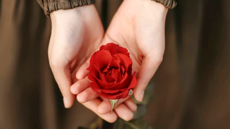 Nhấn để xem ảnh chất lượng hơn Hạnh phúc là gì?