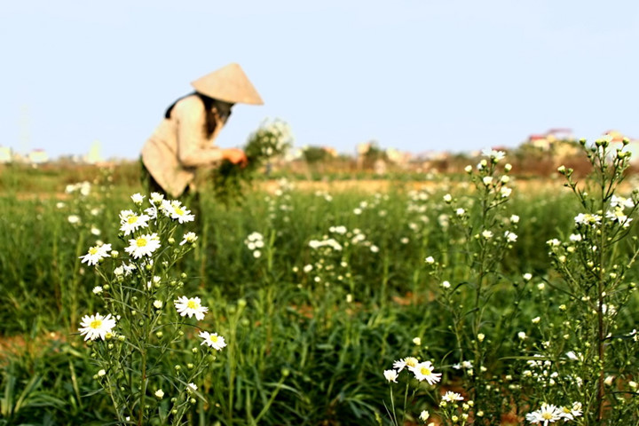 Nhấn để xem ảnh chất lượng hơn Vẻ đẹp của phụ nữ Việt Nam