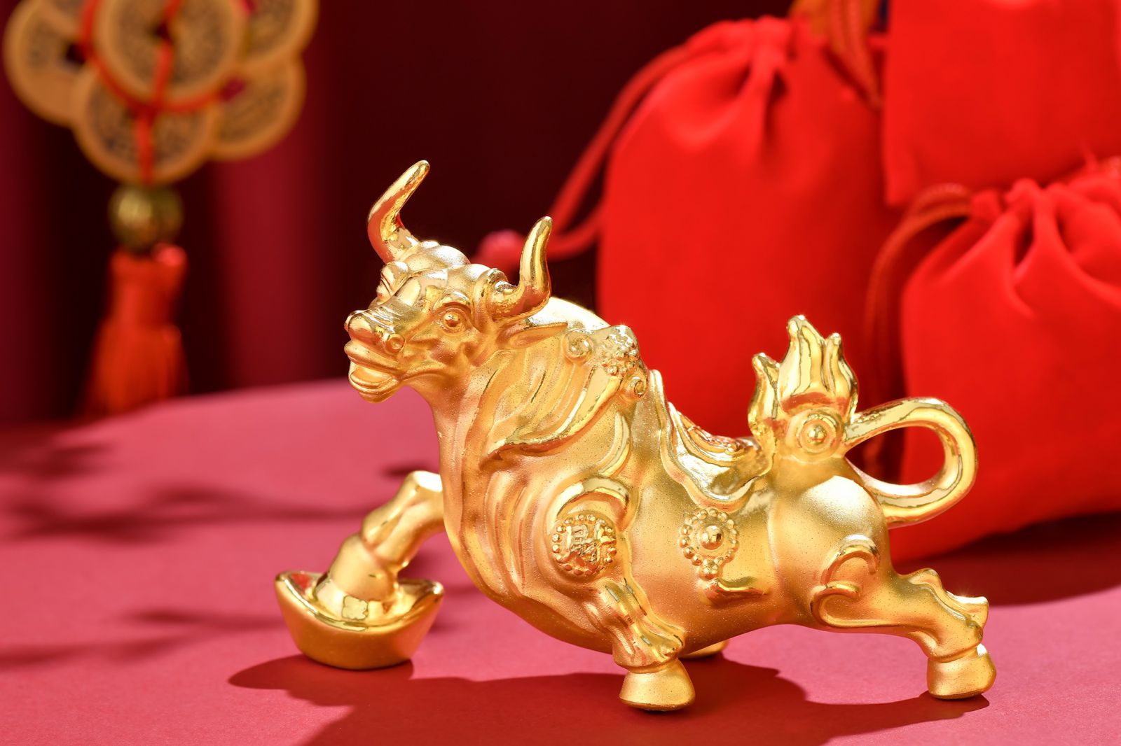 Nhấn để xem ảnh chất lượng hơn Trâu vàng (7)