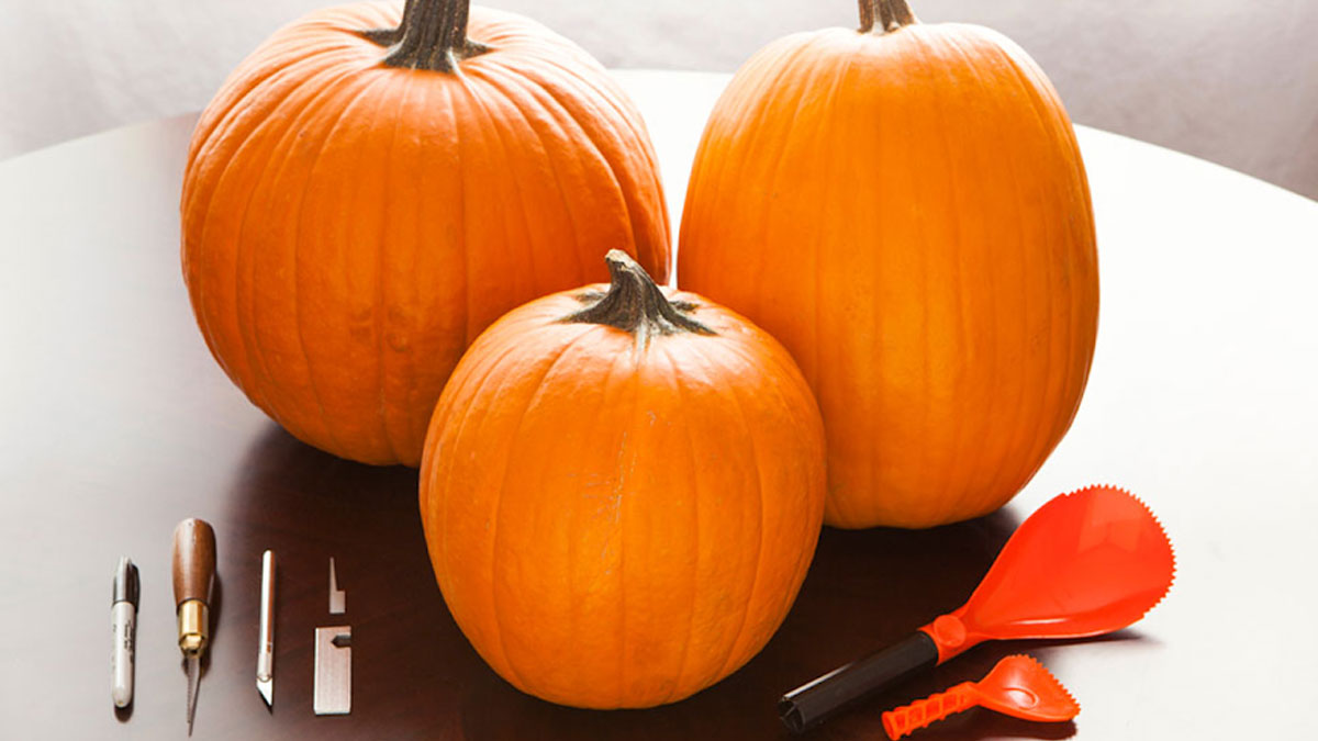 Chuẩn bị làm bí ngô Halloween tại nhà 