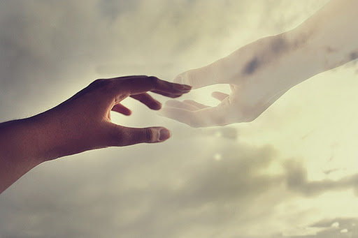 Nhấn để xem ảnh chất lượng hơn hoa sữa tháng 11