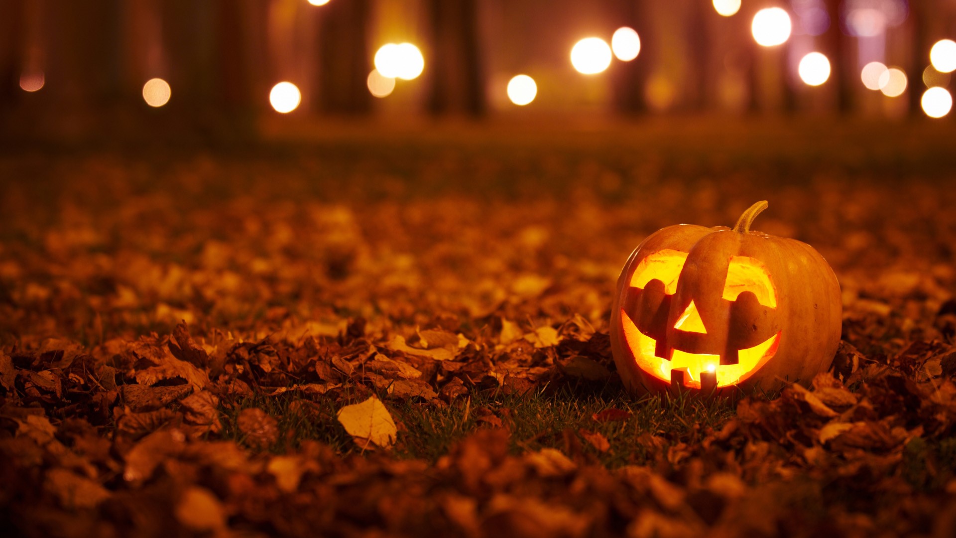 Nhấn để xem ảnh chất lượng hơn Jack O' Lantern