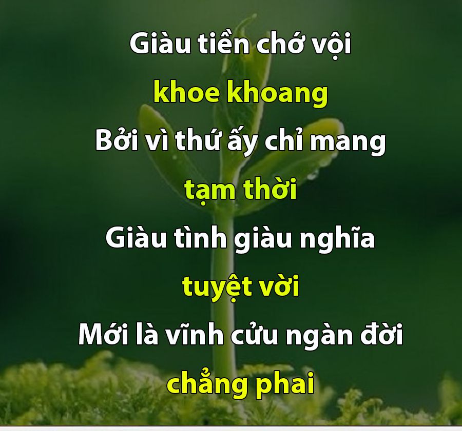 Nhấn để xem ảnh chất lượng hơn Lặng nhìn cuộc sống-2