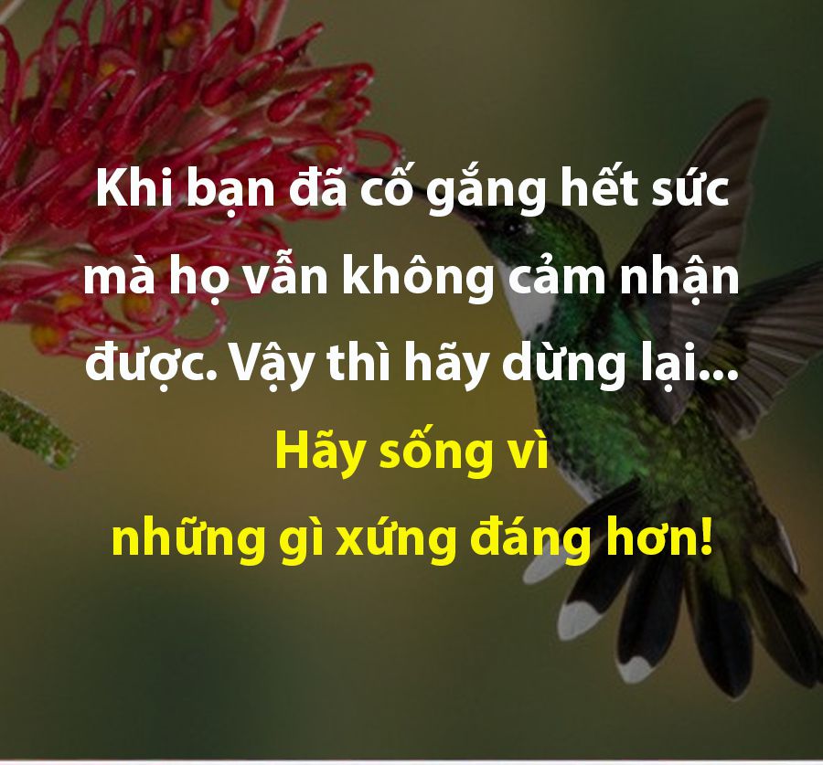 Nhấn để xem ảnh chất lượng hơn Lặng nhìn cuộc sống - 4