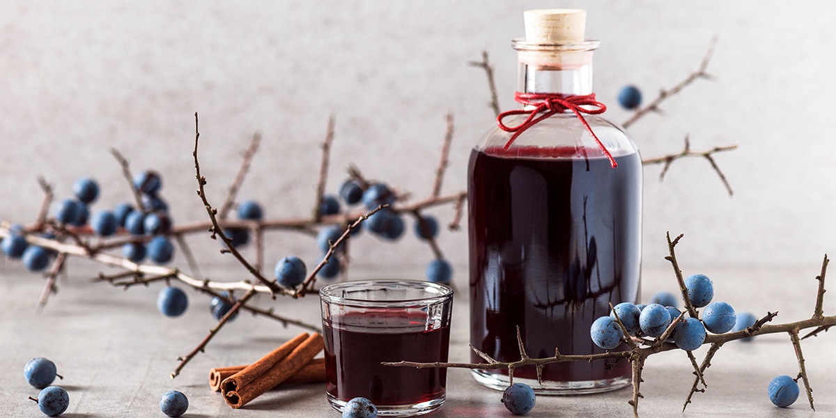 Sloe Gin Handmade