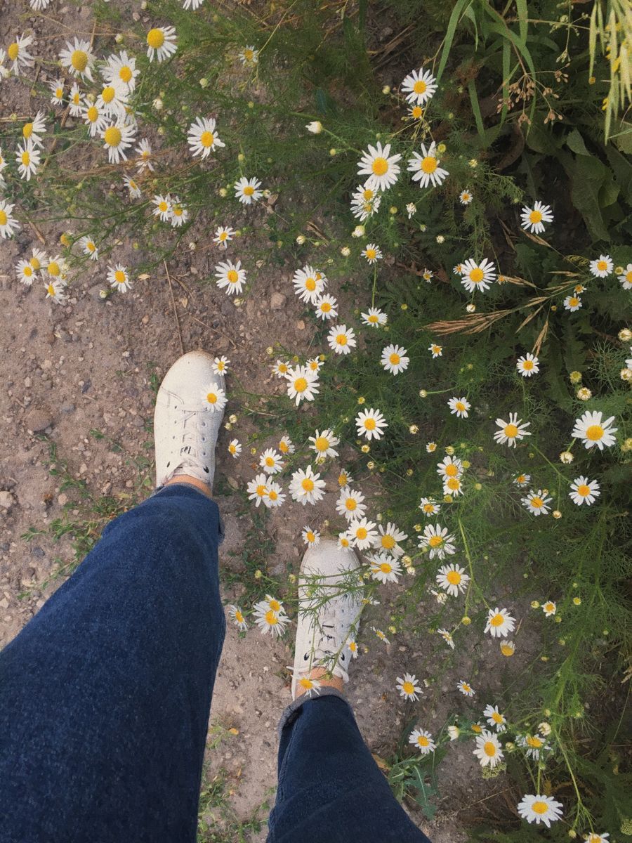 Nhấn để xem ảnh chất lượng hơn Ảnh 4