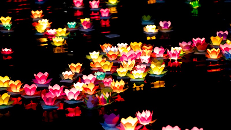 Đèn hoa đăng đêm Vu Lan 