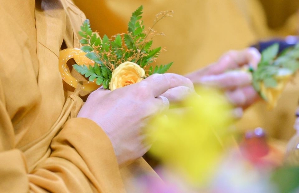 Bông hồng vàng cài áo