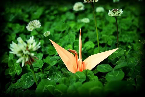 Nhấn để xem ảnh chất lượng hơn Sống nghị lực