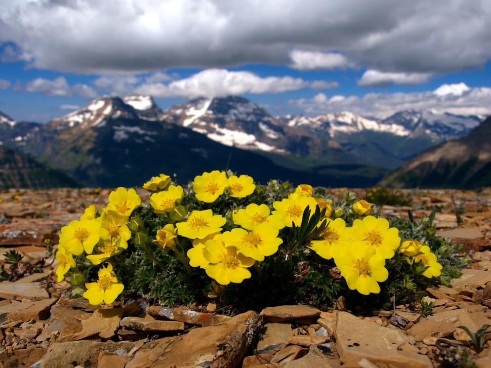 Tự nhắc chính mình (3)