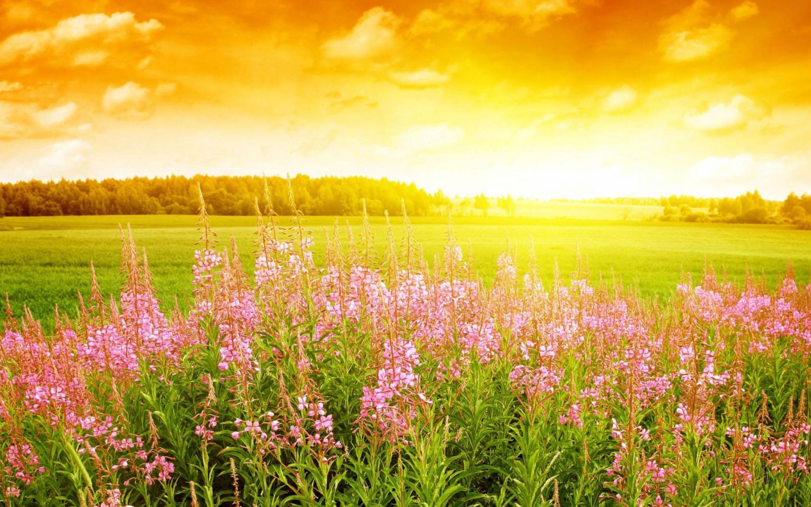 Tự nhắc chính mình (2)