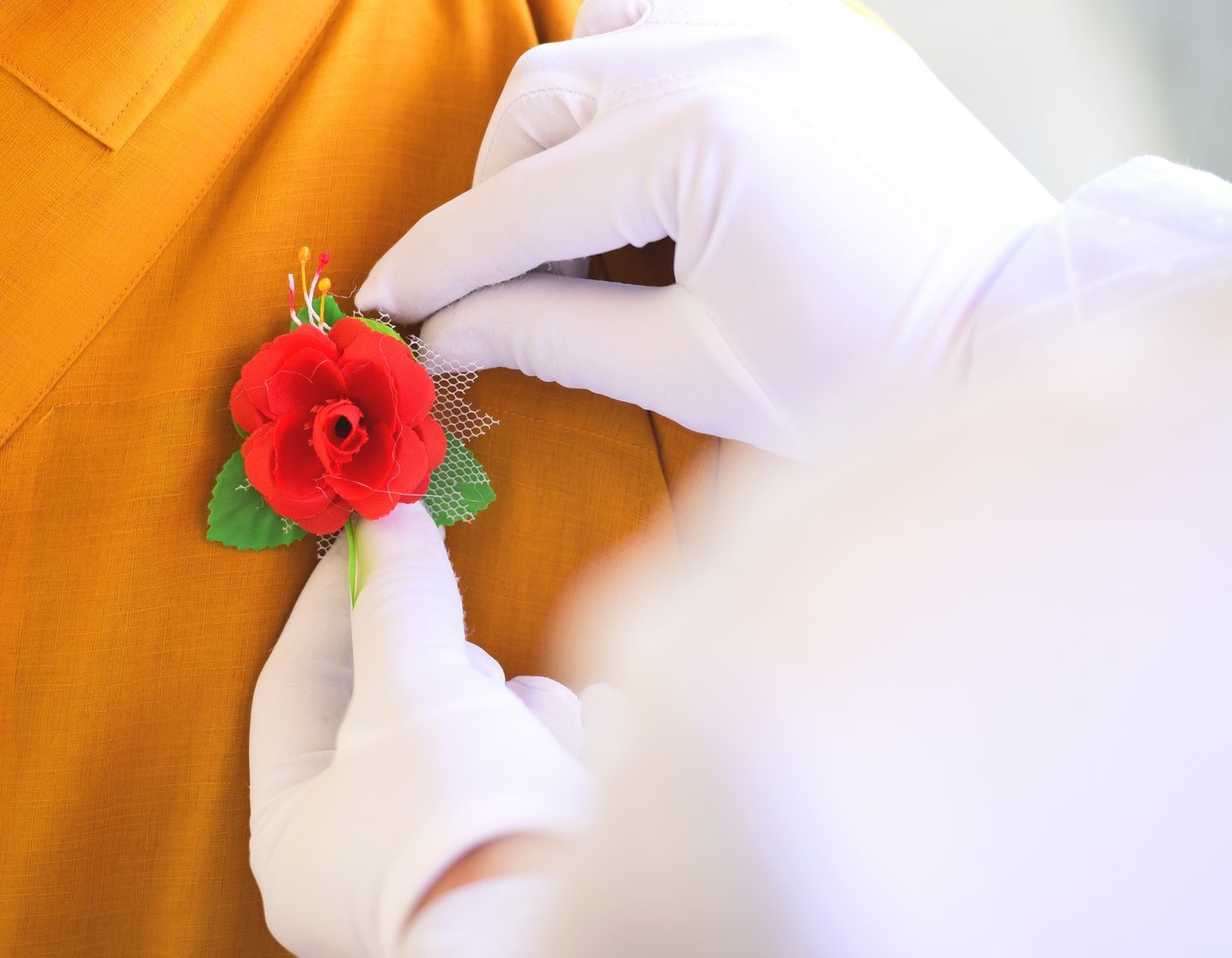 Ý nghĩa của bông hồng cài áo 