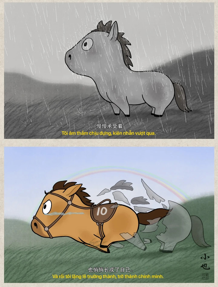 Nhấn để xem ảnh chất lượng hơn Tinh thần thép của chú ngựa nhỏ luôn nỗ lực vượt lên hoàn cảnh (Nguồn ảnh: Douyin)