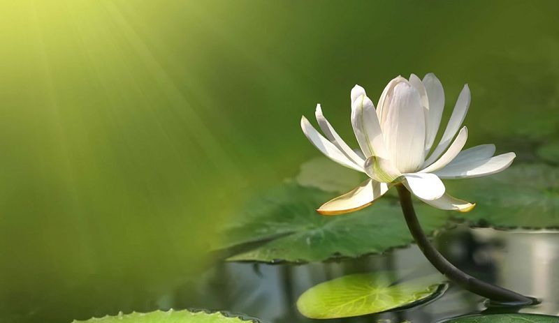 Học cách tha thứ-1 