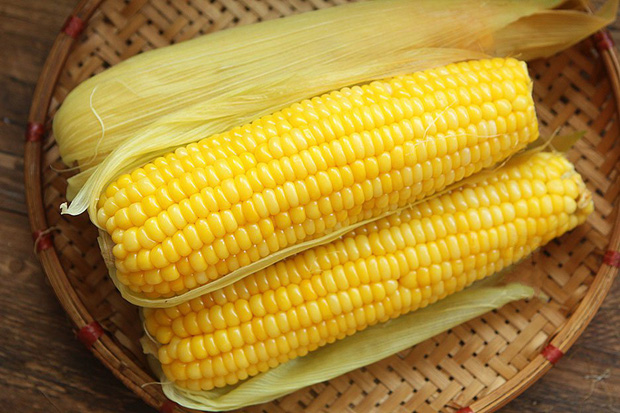 Nhấn để xem ảnh chất lượng hơn Thực phẩm nhiều tinh bột dễ nấm mốc