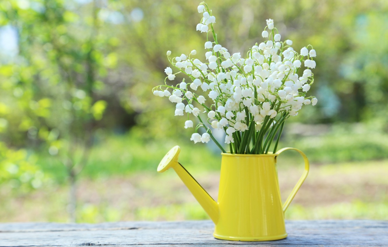 Nhấn để xem ảnh chất lượng hơn Cung Hoàng Đạo và lễ độc thân 11-11