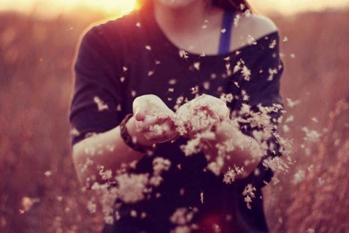 Nhấn để xem ảnh chất lượng hơn Nhân Mã