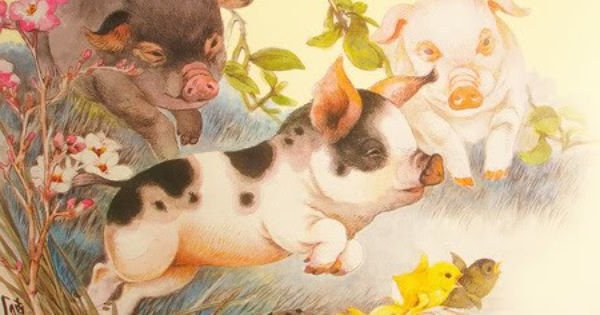 Nhấn để xem ảnh chất lượng hơn Tử vi tuổi Hợi