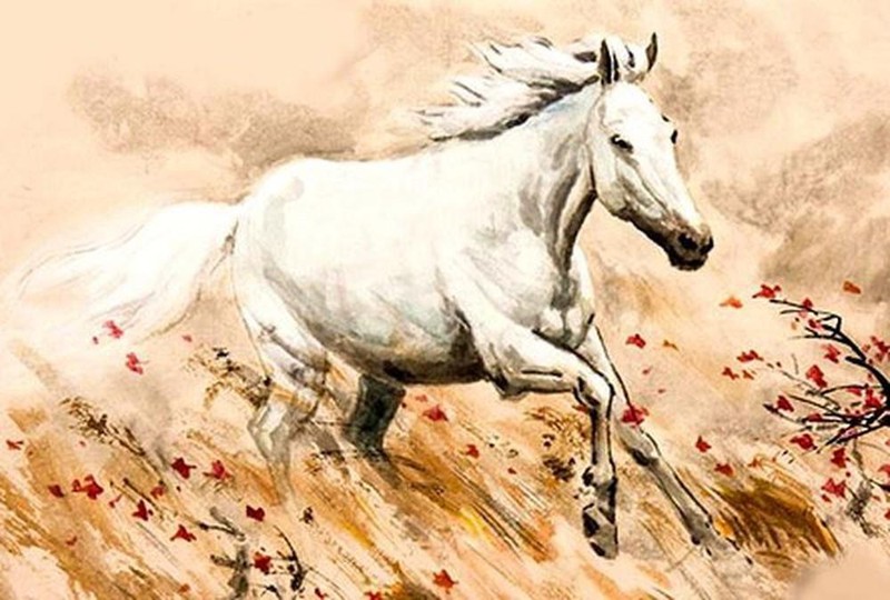 Nhấn để xem ảnh chất lượng hơn Tử vi tuổi Ngọ