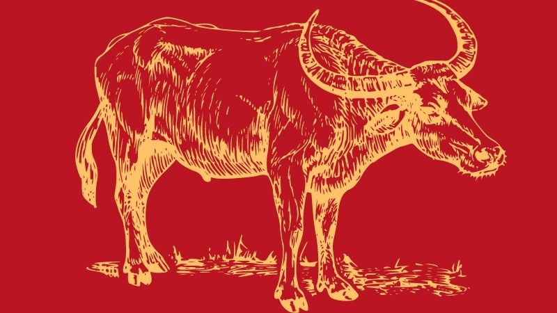 Nhấn để xem ảnh chất lượng hơn Tử vi tuổi Sửu