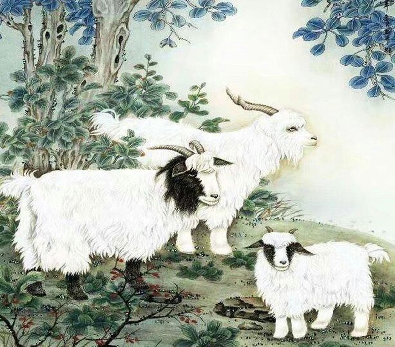 Nhấn để xem ảnh chất lượng hơn Tử vi tuổi Mùi